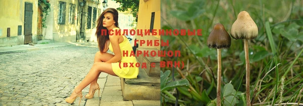 соль курить ск Белокуриха