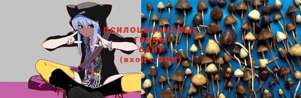соль курить ск Белокуриха